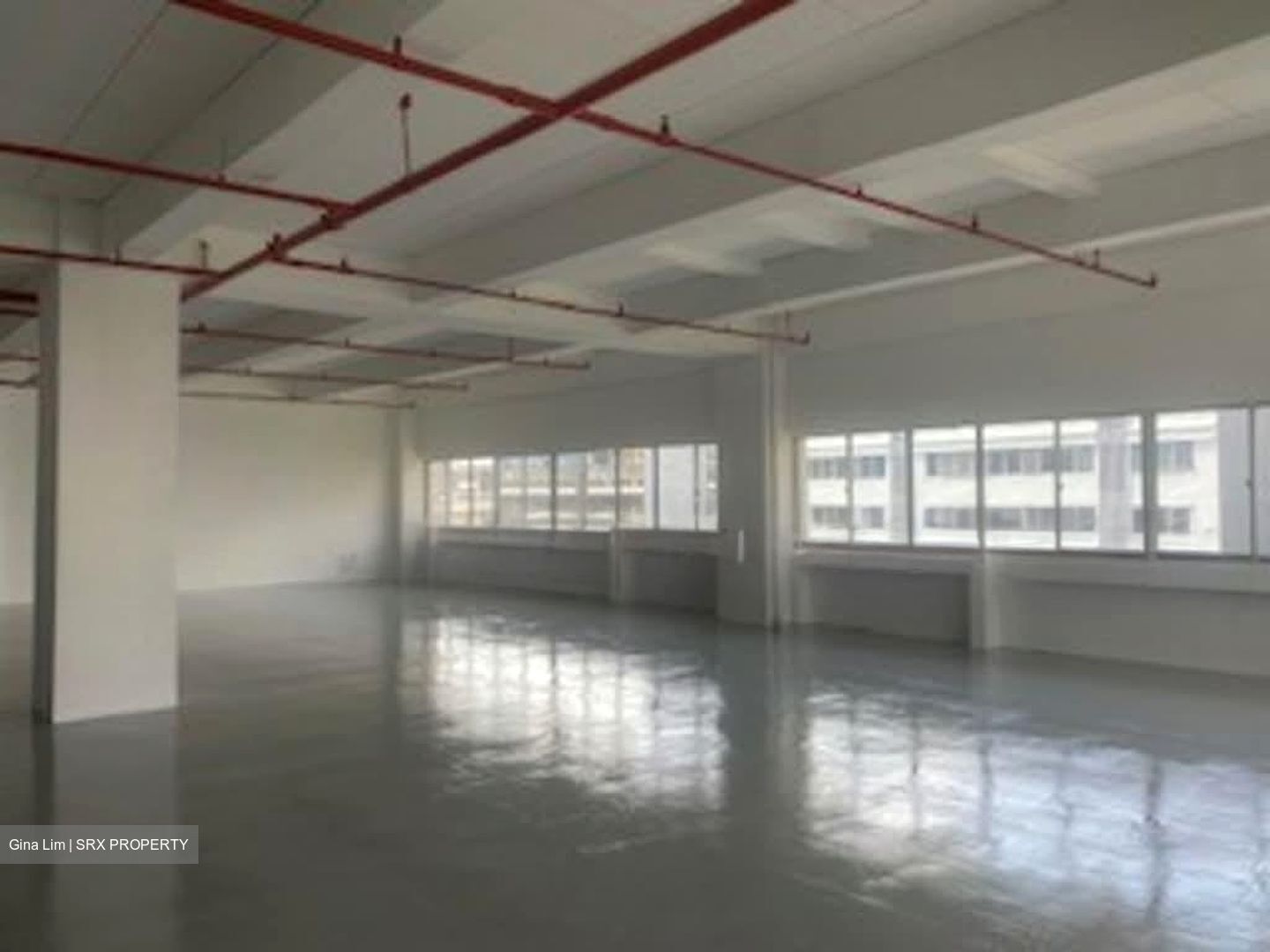 Perfect One (D13), Factory #541625841